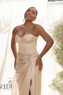 Champagne Leo Matte Satin Bustier*JLUXLABEL Fashion