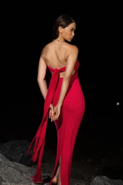 Fuchsia Blanca Strapless Maxi Dress*JLUXLABEL New