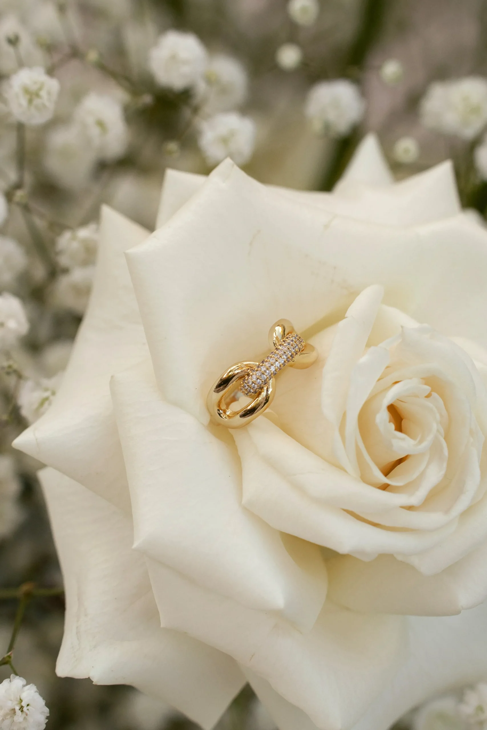 Gold Davi Paved Ring*JLUXLABEL Best