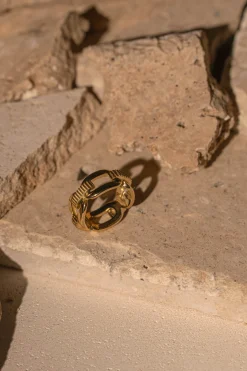 Gold Emi Chain Ring*JLUXLABEL Best