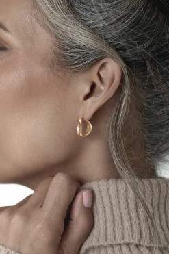 Gold Layla Earring Set*JLUXLABEL Best