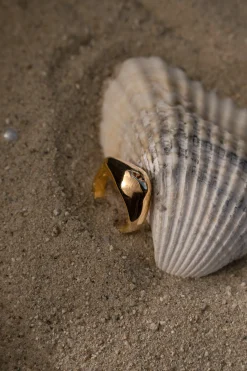 Gold Lucci Ring*JLUXLABEL Discount