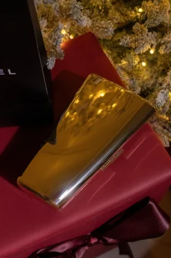 Silver Sasha Clutch*JLUXLABEL Online
